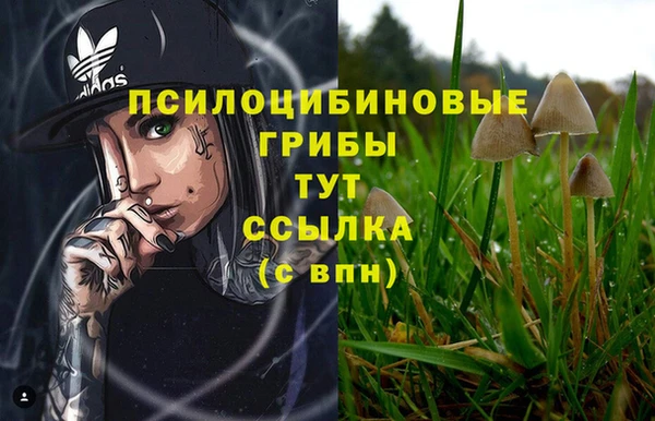 гидропоника Ладушкин