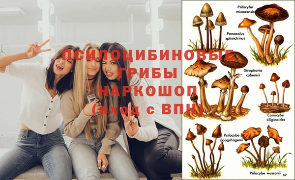 spice Лабытнанги