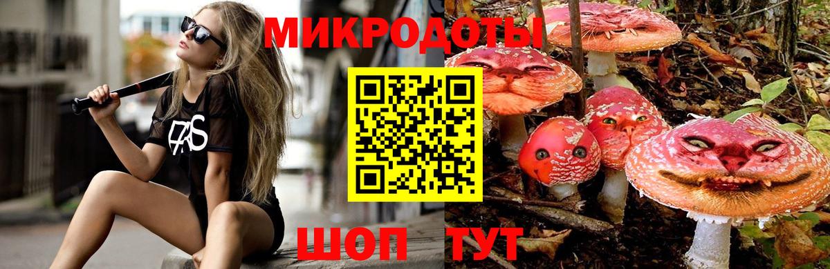 Псилоцибиновые грибы Psilocybe Дятьково