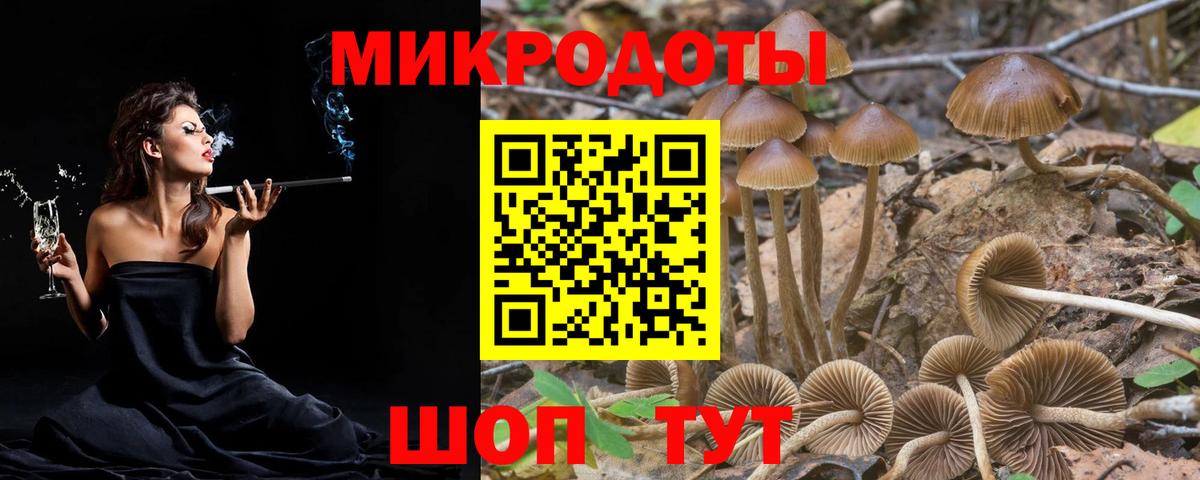 Псилоцибиновые грибы Psilocybe  Вход с VPN  Дятьково 